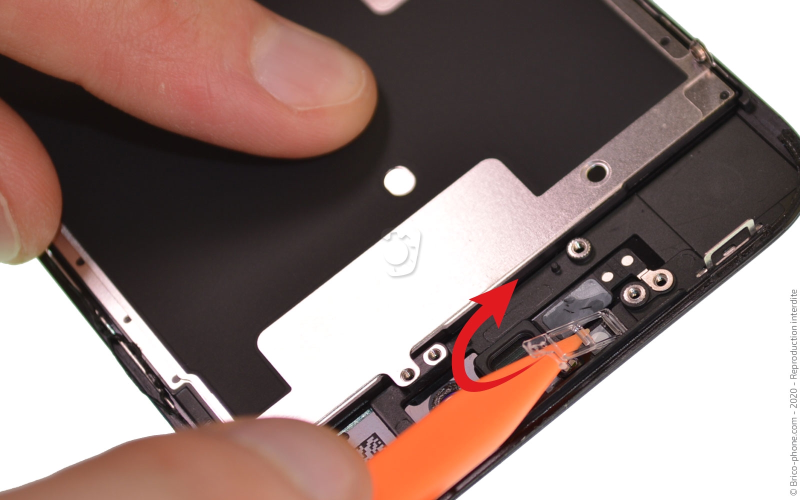 Démontage complet sur iPhone SE 2020 photo 3