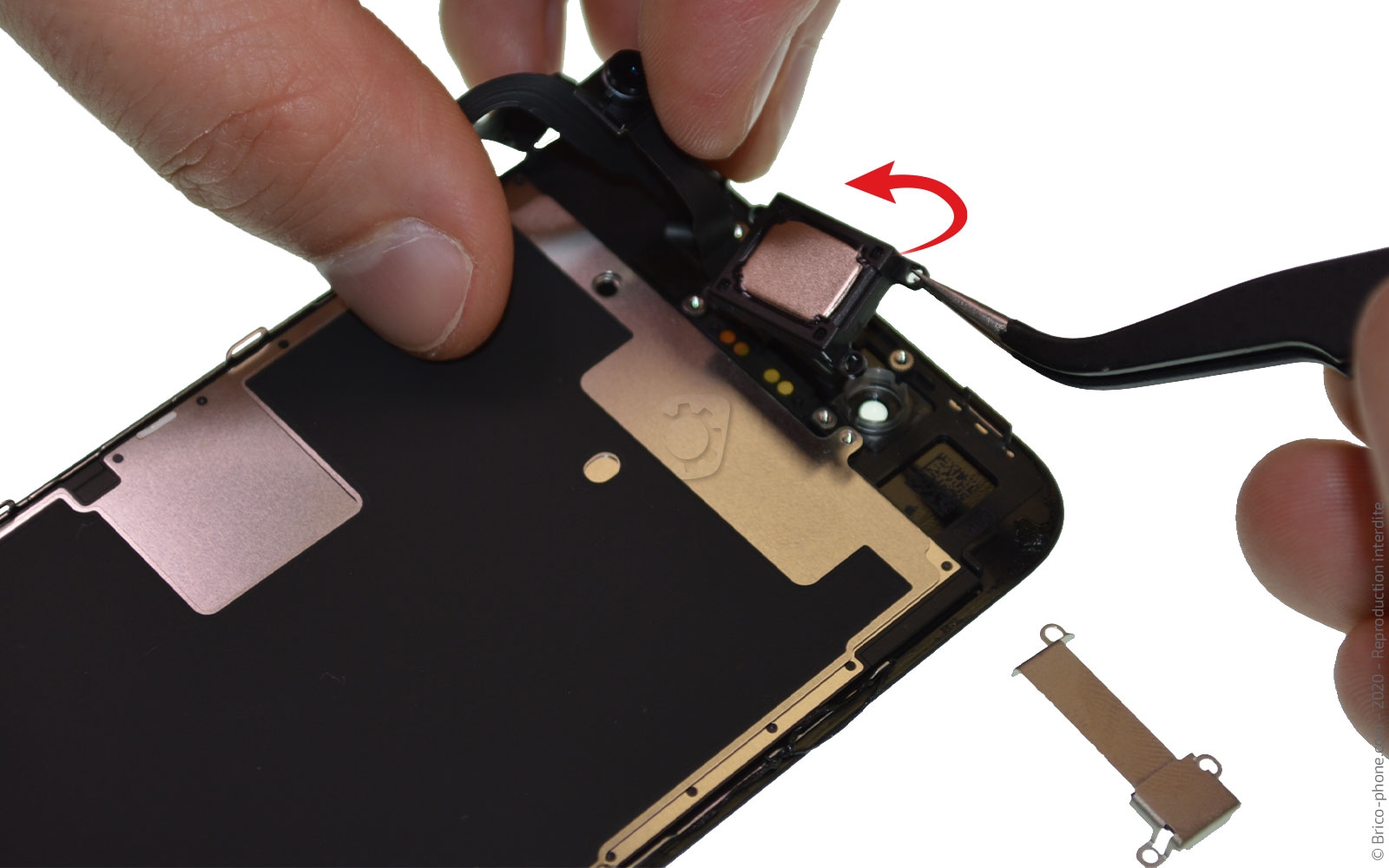 Démontage complet sur iPhone SE 2020 photo 3