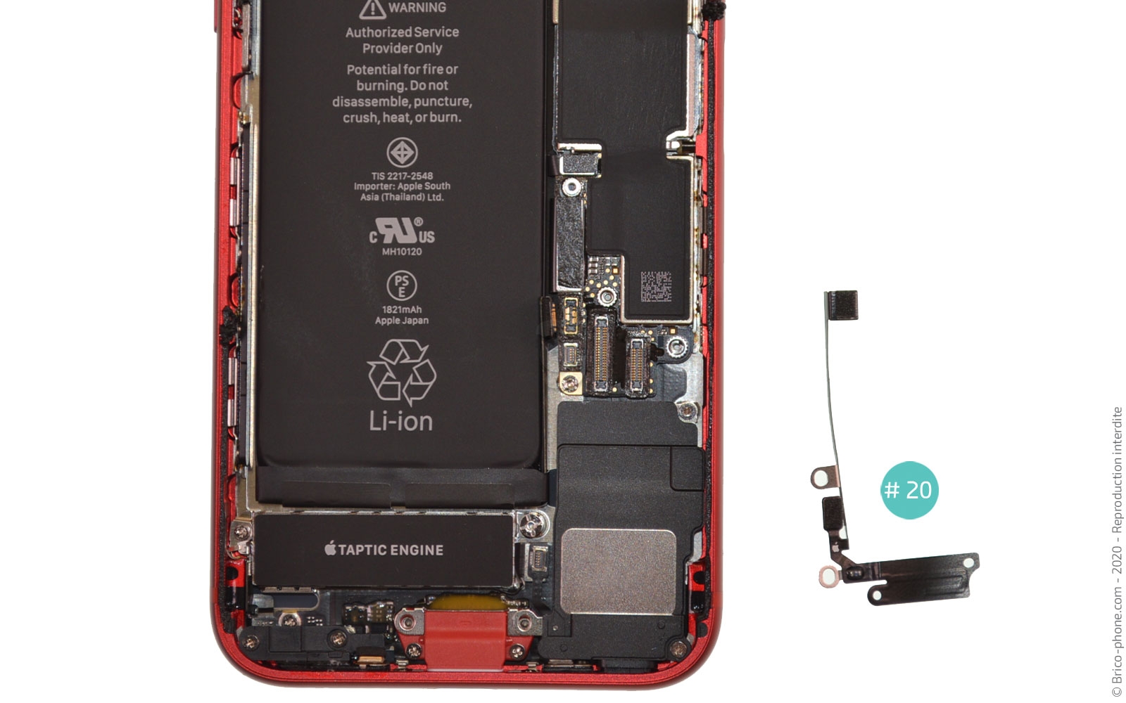 Démontage complet sur iPhone SE 2020 photo 4