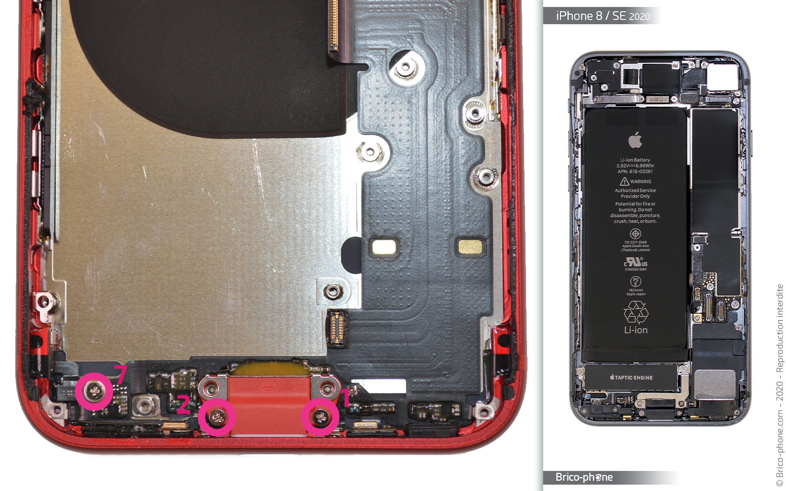 Démontage complet sur iPhone SE 2020 photo 1