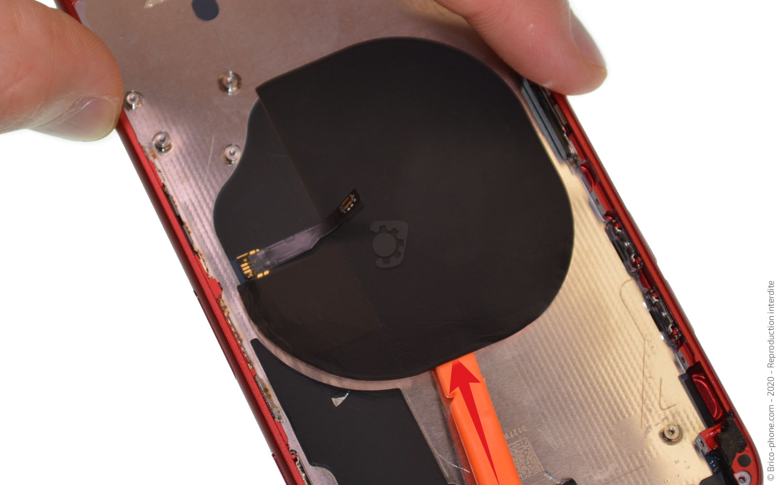 Démontage complet sur iPhone SE 2020 photo 2