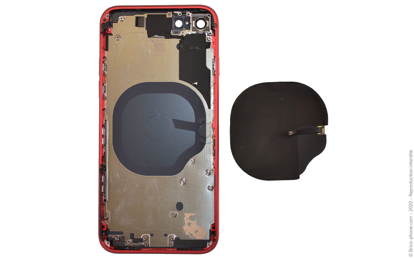 Démontage complet sur iPhone SE 2020 photo 3