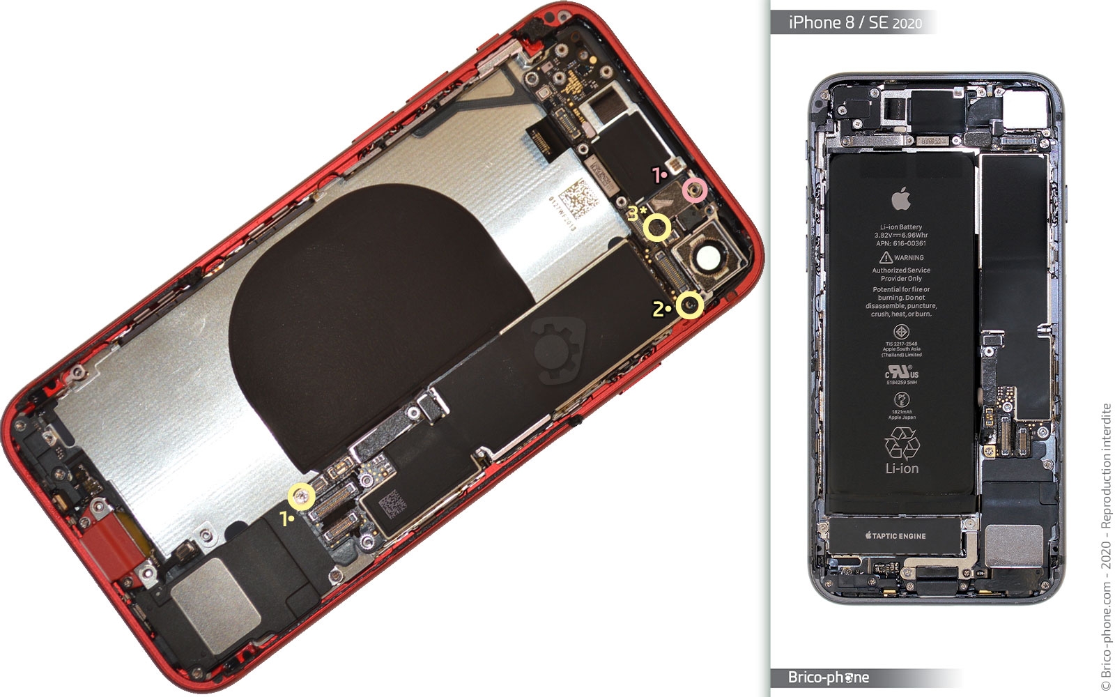 Démontage complet sur iPhone SE 2020 photo 1