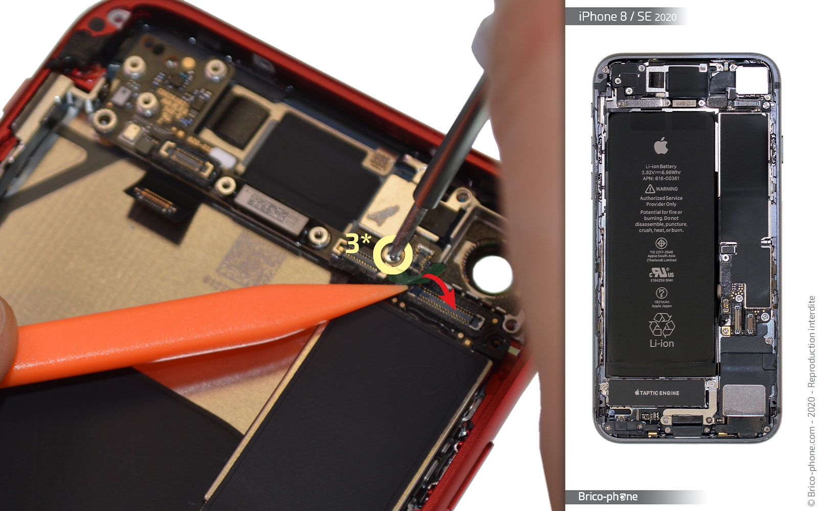 Démontage complet sur iPhone SE 2020 photo 4