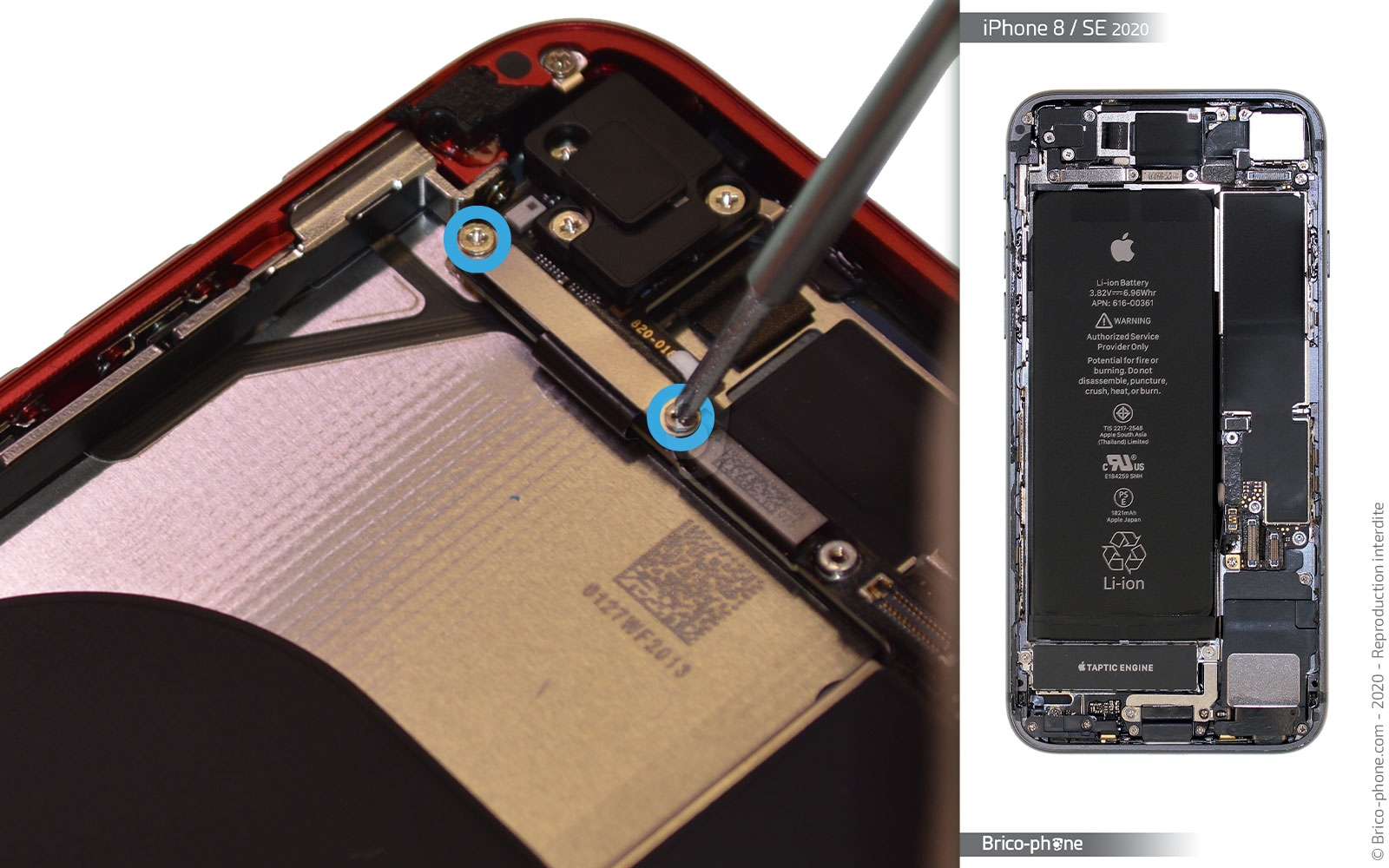 Démontage complet sur iPhone SE 2020 photo 1