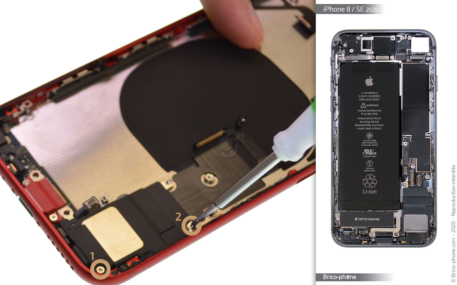 Démontage complet sur iPhone SE 2020 photo 1