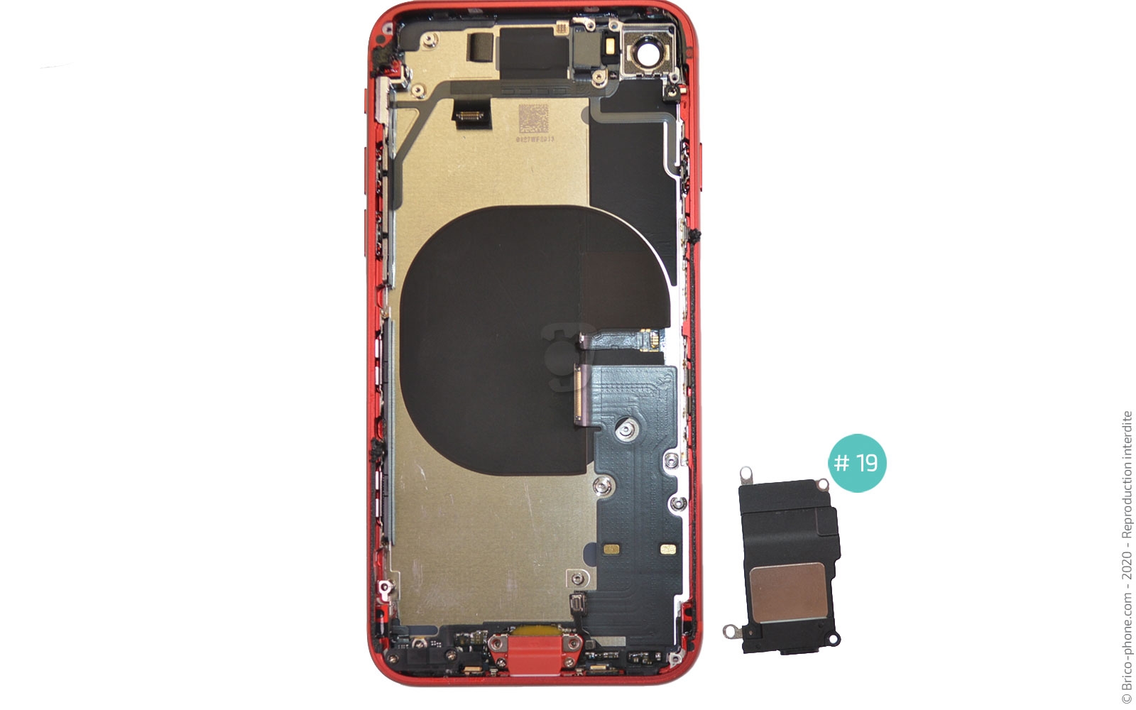 Démontage complet sur iPhone SE 2020 photo 3