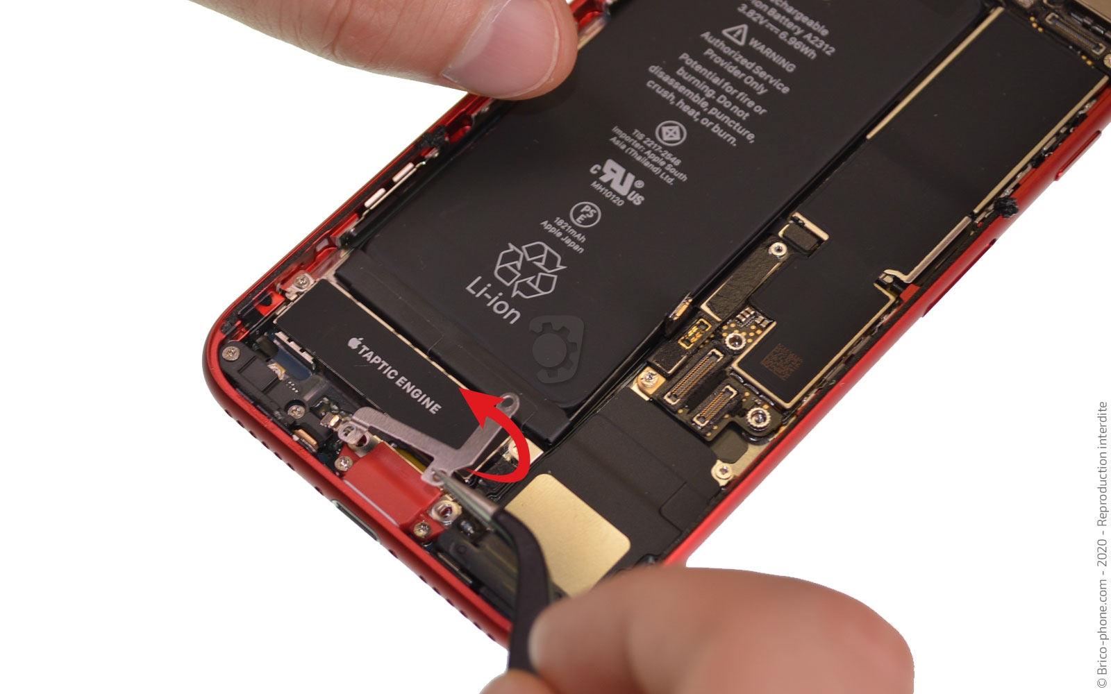 Démontage complet sur iPhone SE 2020 photo 3