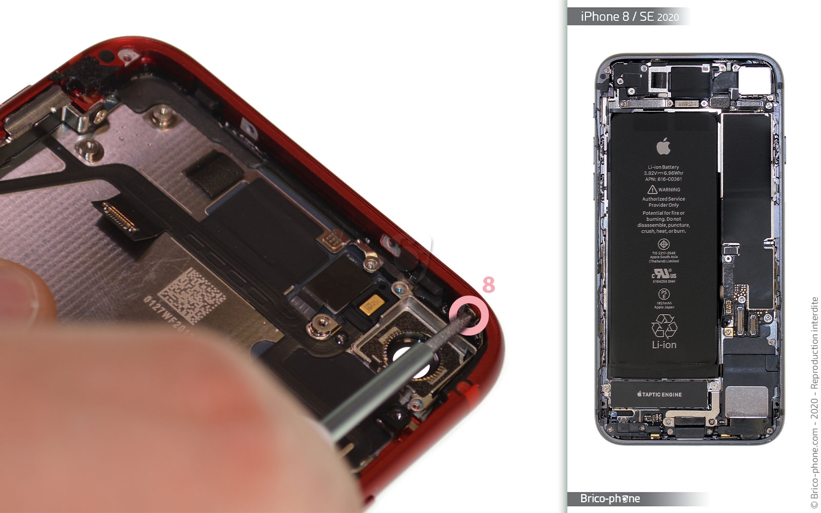 Démontage complet sur iPhone SE 2020 photo 1