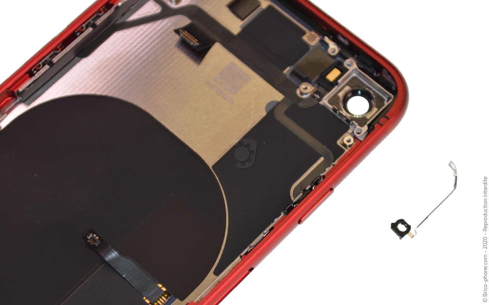 Démontage complet sur iPhone SE 2020 photo 2