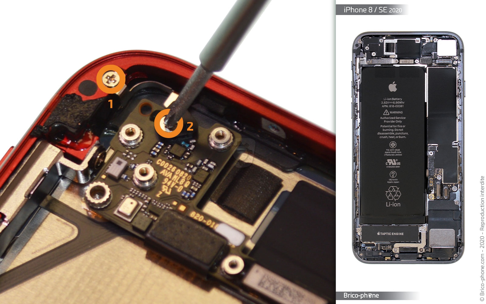 Démontage complet sur iPhone SE 2020 photo 1