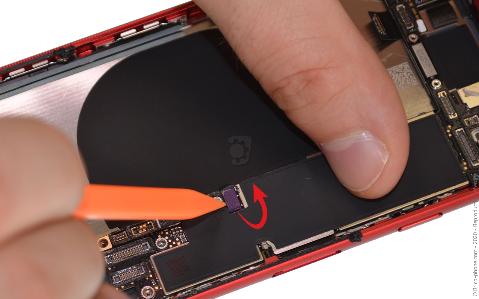 Démontage complet sur iPhone SE 2020 photo 1