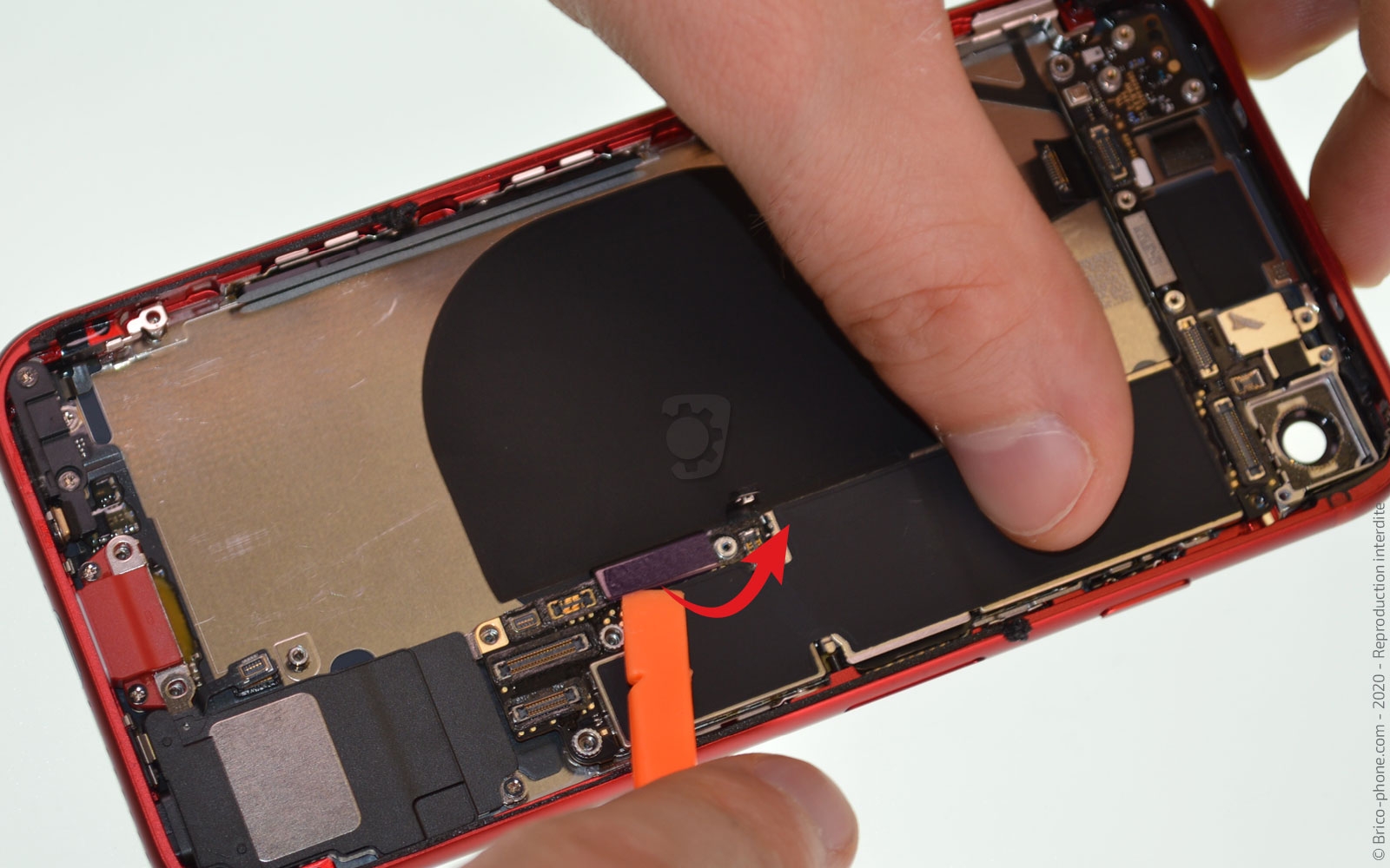 Démontage complet sur iPhone SE 2020 photo 2