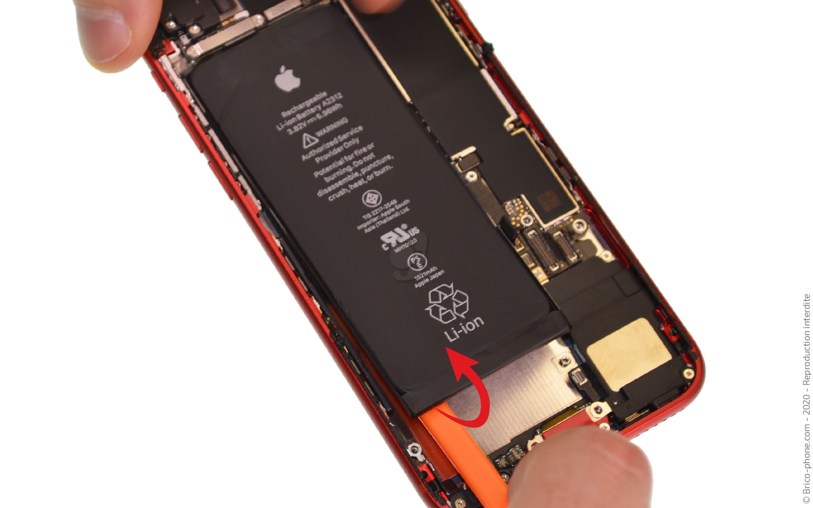 Démontage complet sur iPhone SE 2020 photo 3