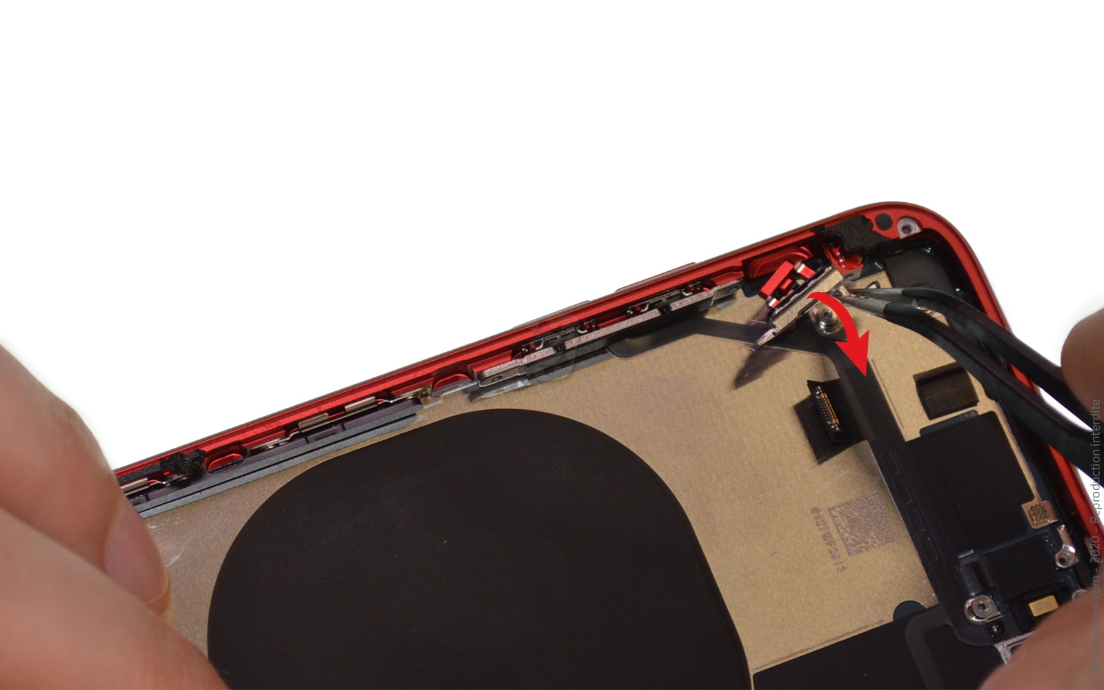 Démontage complet sur iPhone SE 2020 photo 1