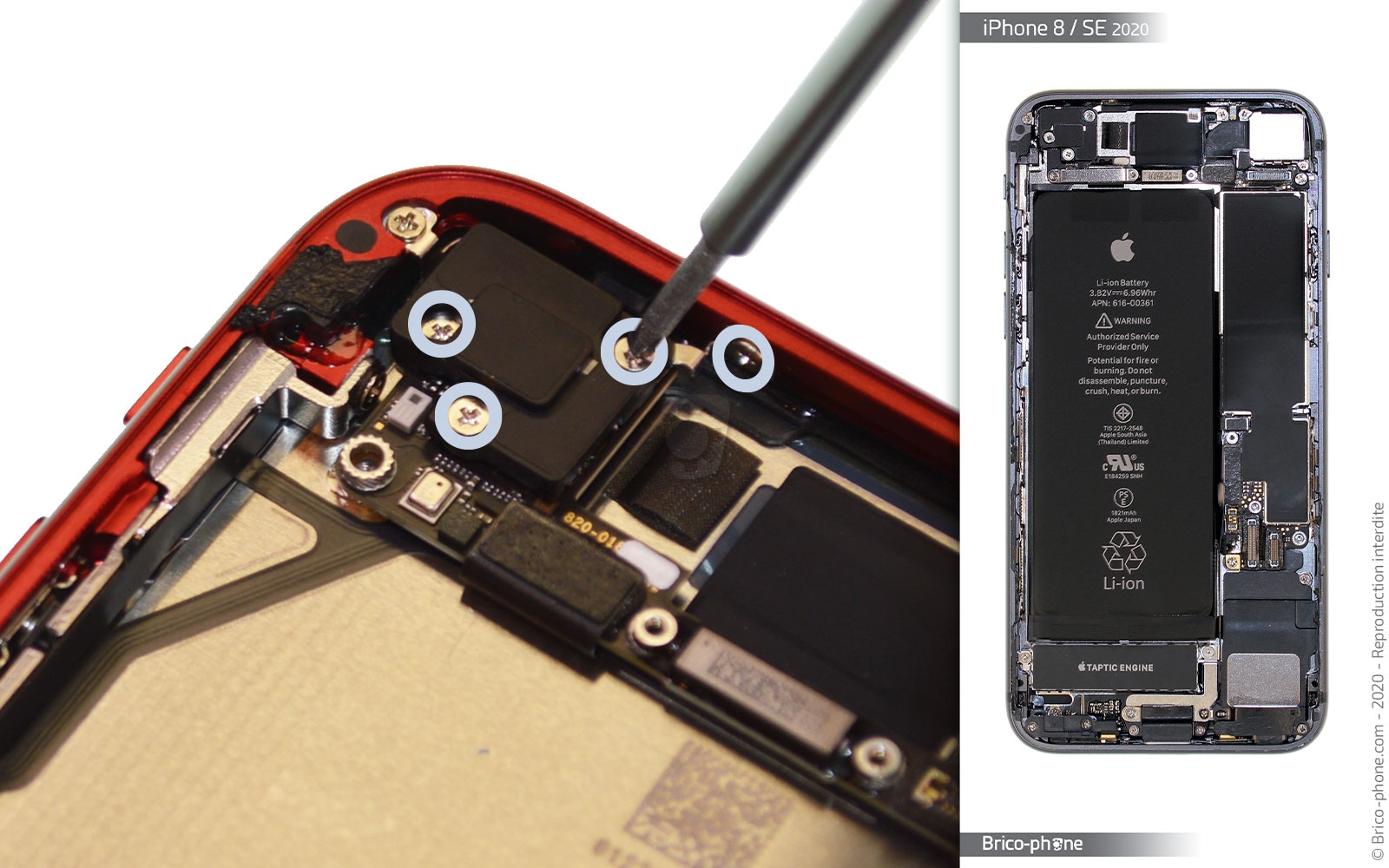 Démontage complet sur iPhone SE 2020 photo 1