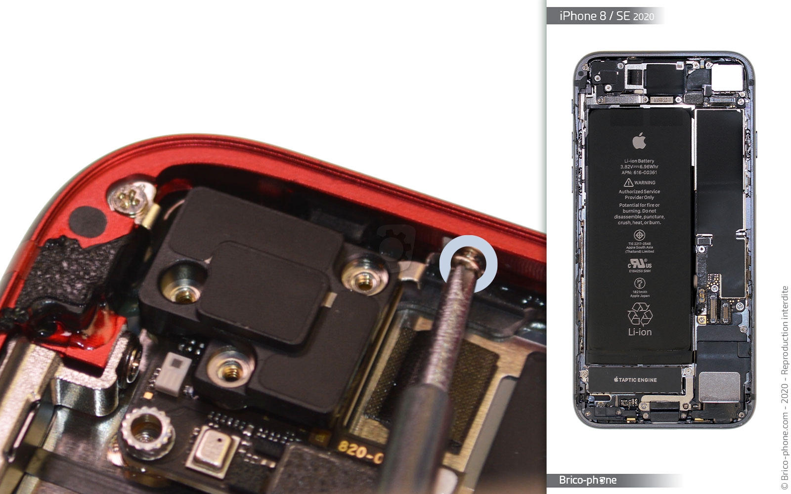 Démontage complet sur iPhone SE 2020 photo 2