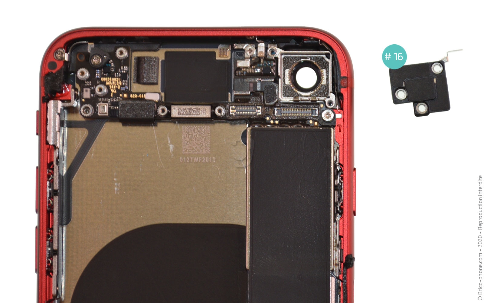 Démontage complet sur iPhone SE 2020 photo 4