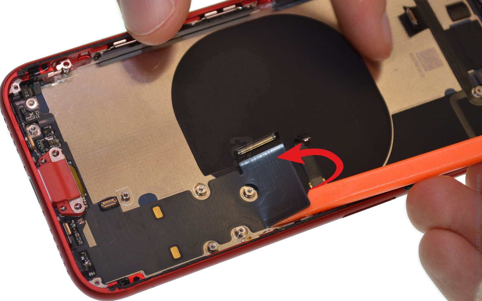 Démontage complet sur iPhone SE 2020 photo 1