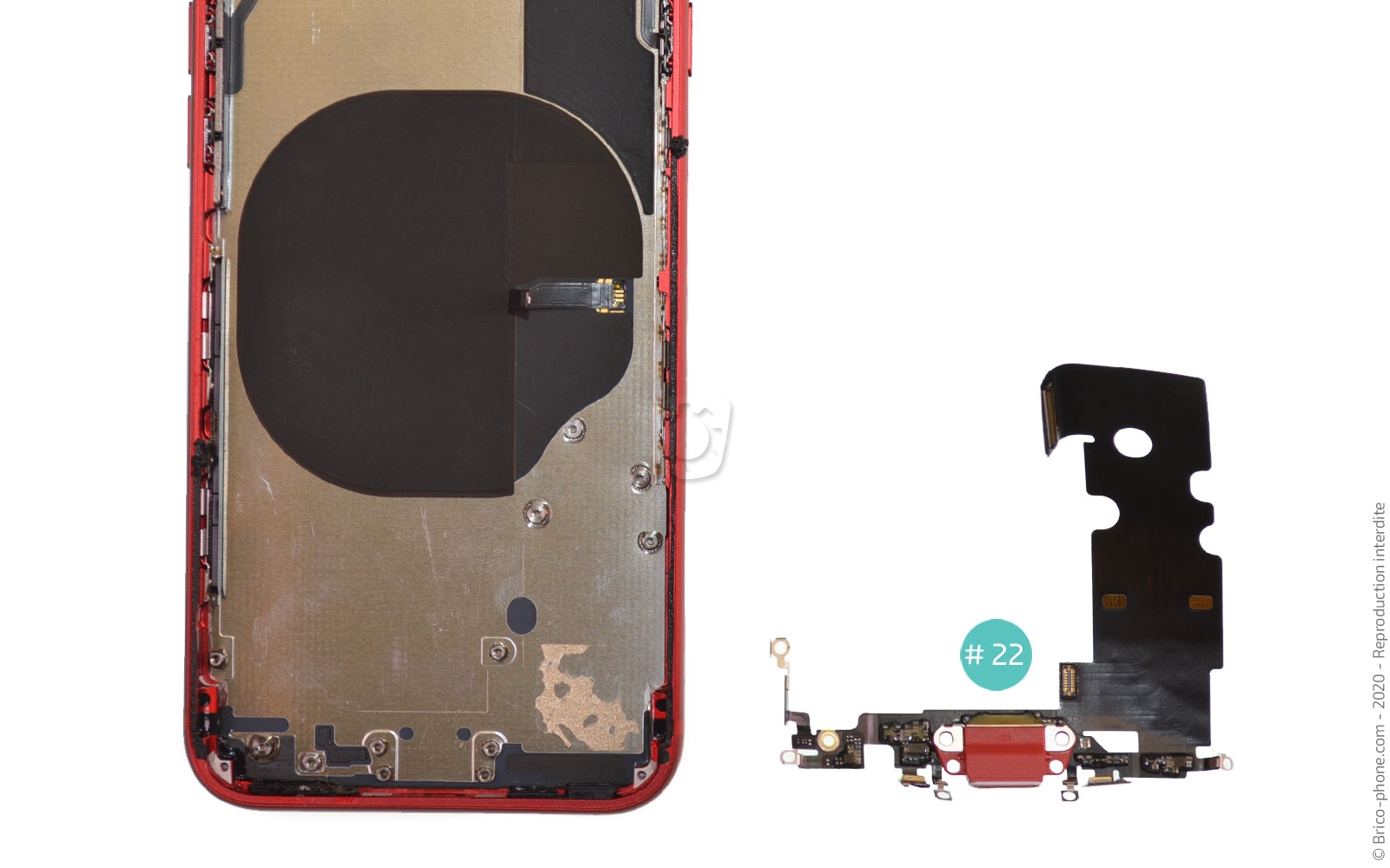 Démontage complet sur iPhone SE 2020 photo 4