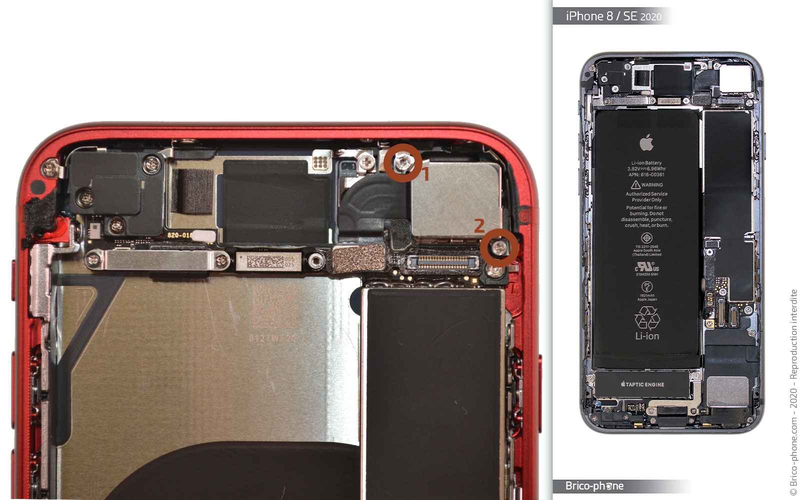 Démontage complet sur iPhone SE 2020 photo 1