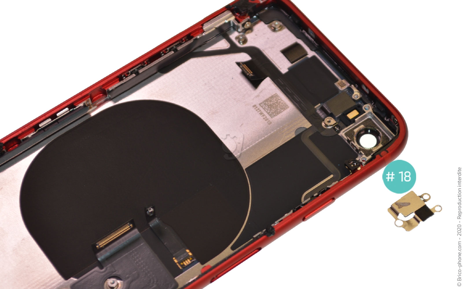 Démontage complet sur iPhone SE 2020 photo 2