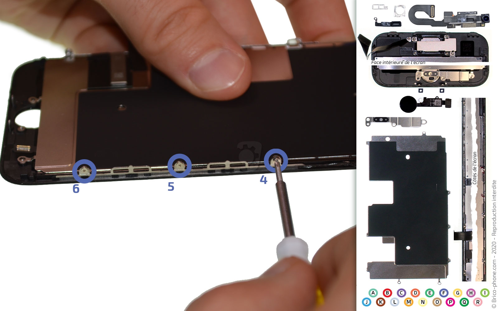 Remplacer l'écran (vitre et LCD)  sur iPhone SE 2020 photo 2