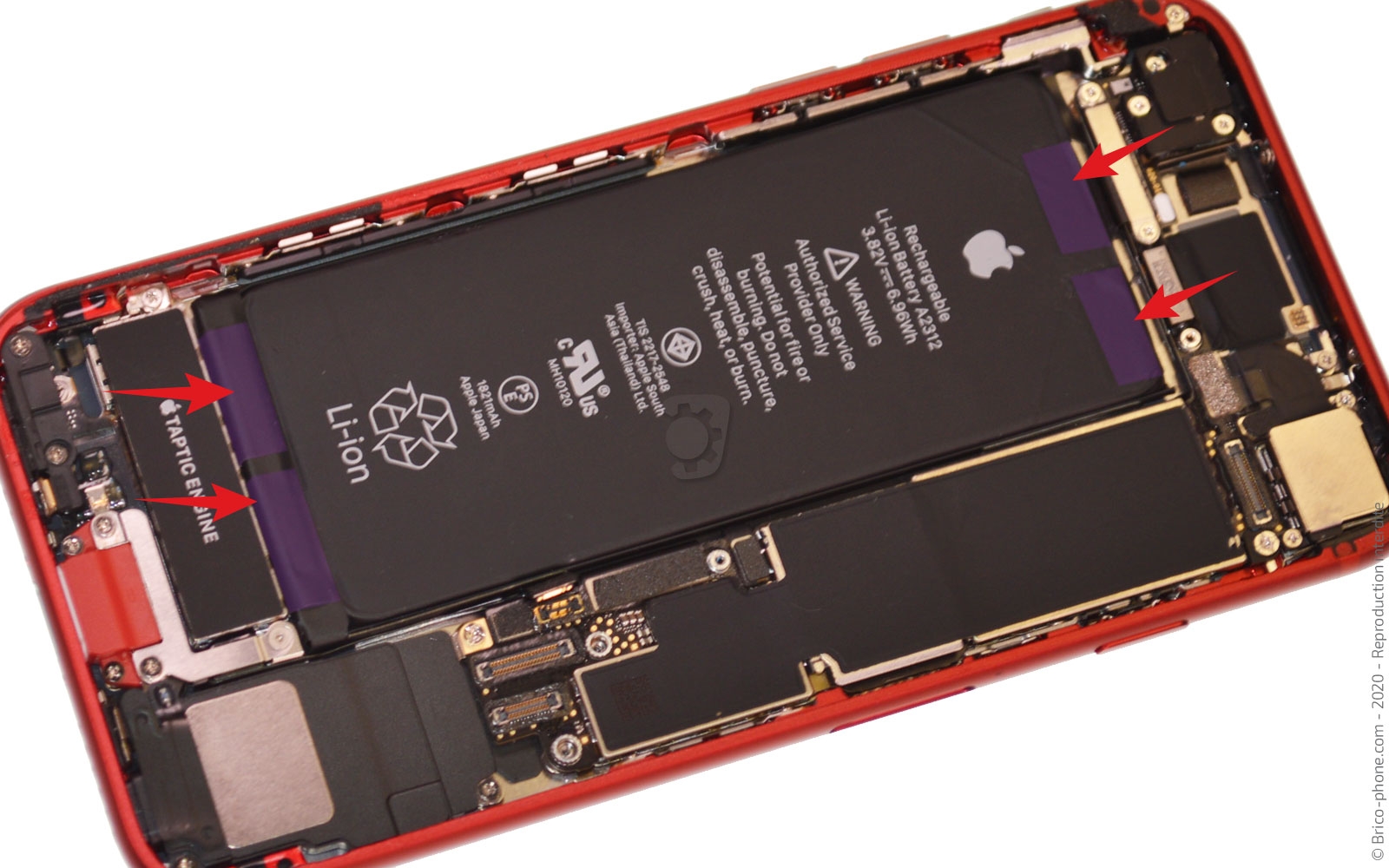 Remplacer la batterie  sur iPhone SE 2020 photo 1