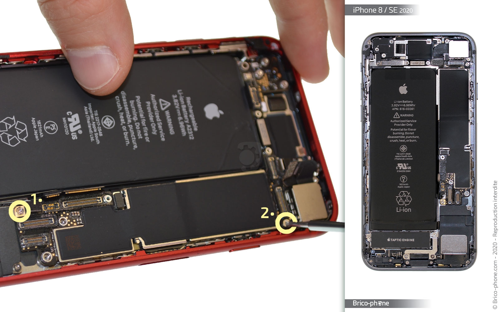 Remplacer le connecteur de charge  sur iPhone SE 2020 photo 3