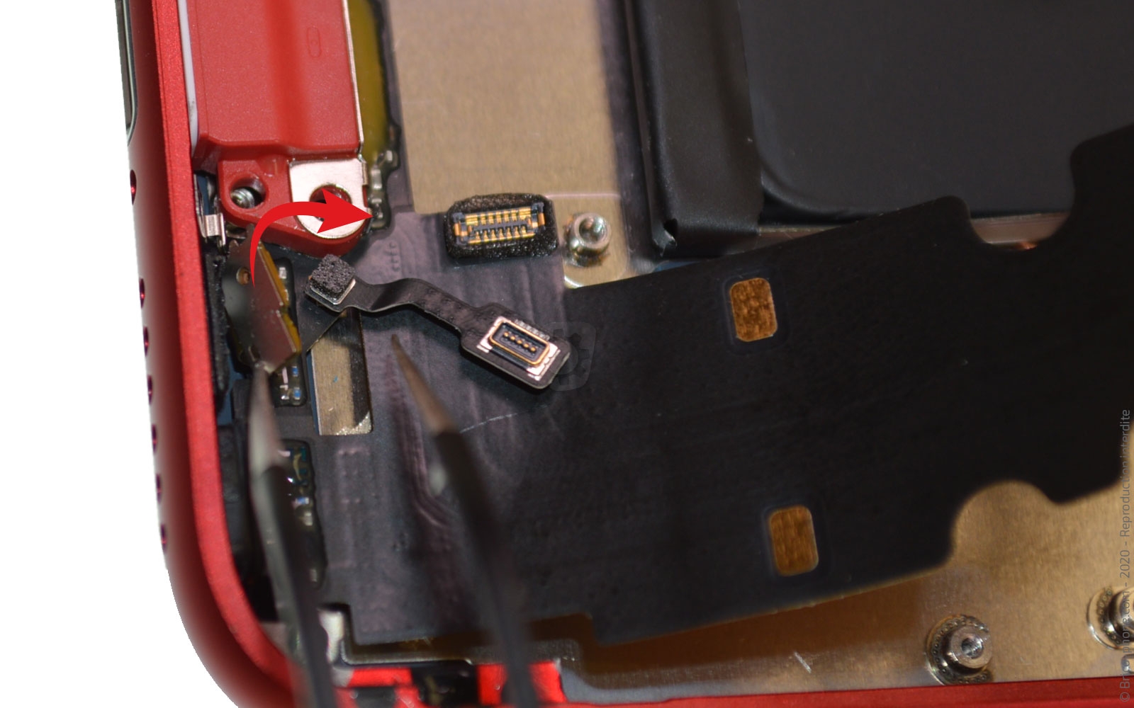 Remplacer le connecteur de charge  sur iPhone SE 2020 photo 1