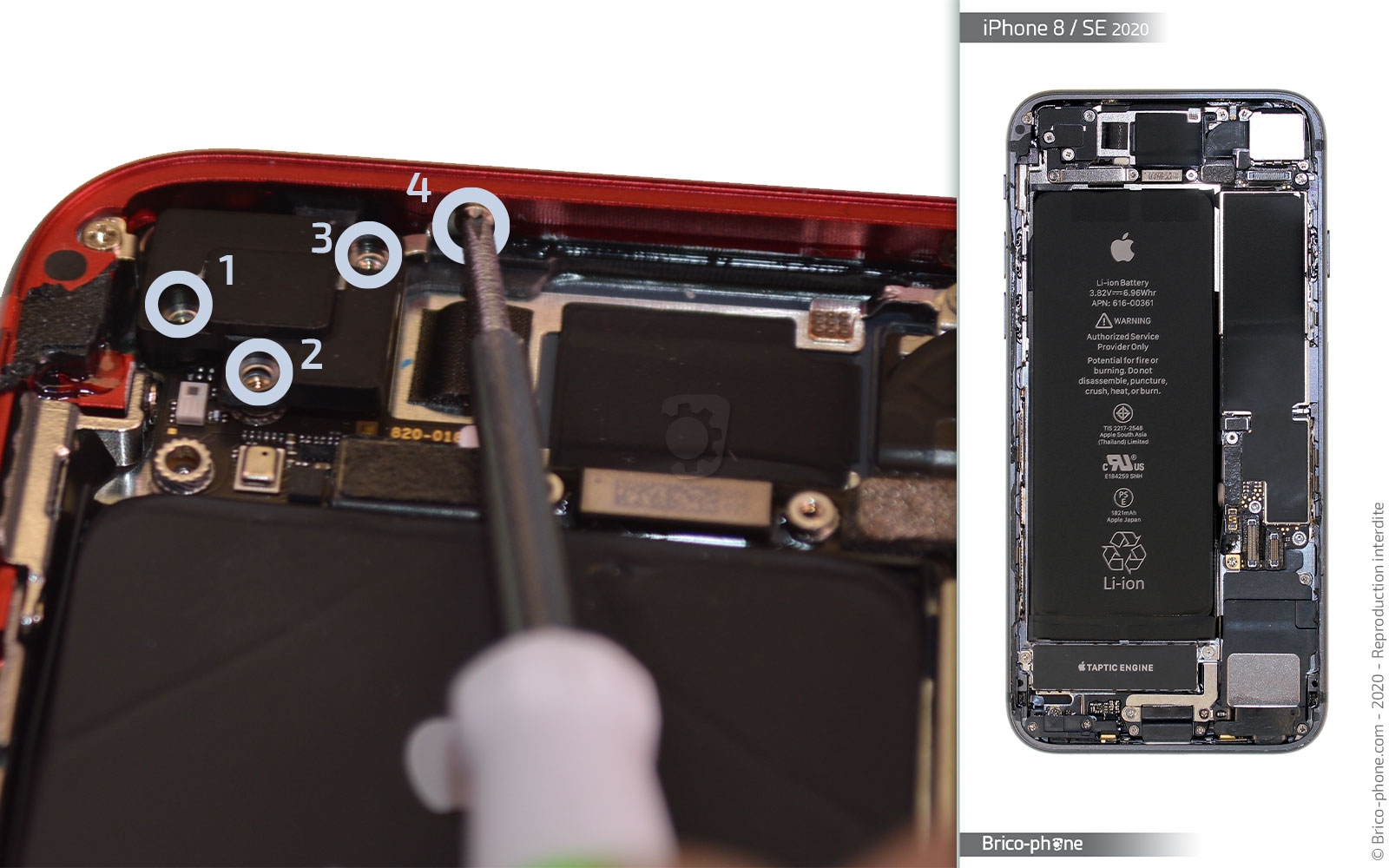 Remplacer le connecteur de charge  sur iPhone SE 2020 photo 1