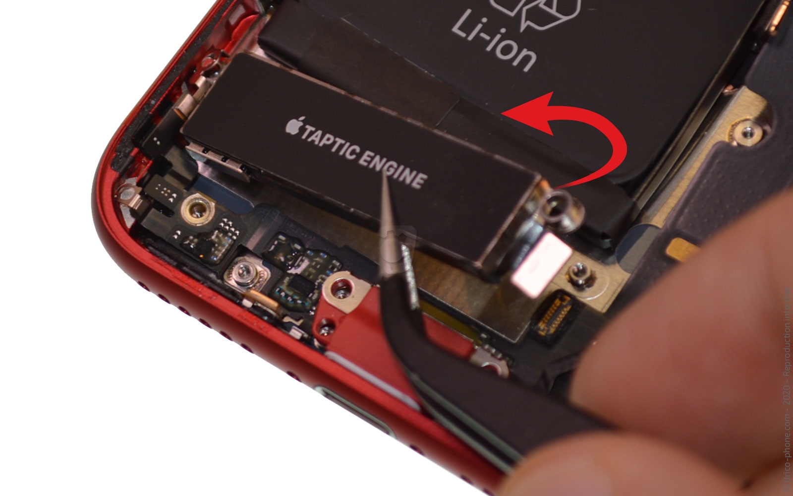 Remplacer le connecteur de charge  sur iPhone SE 2020 photo 3