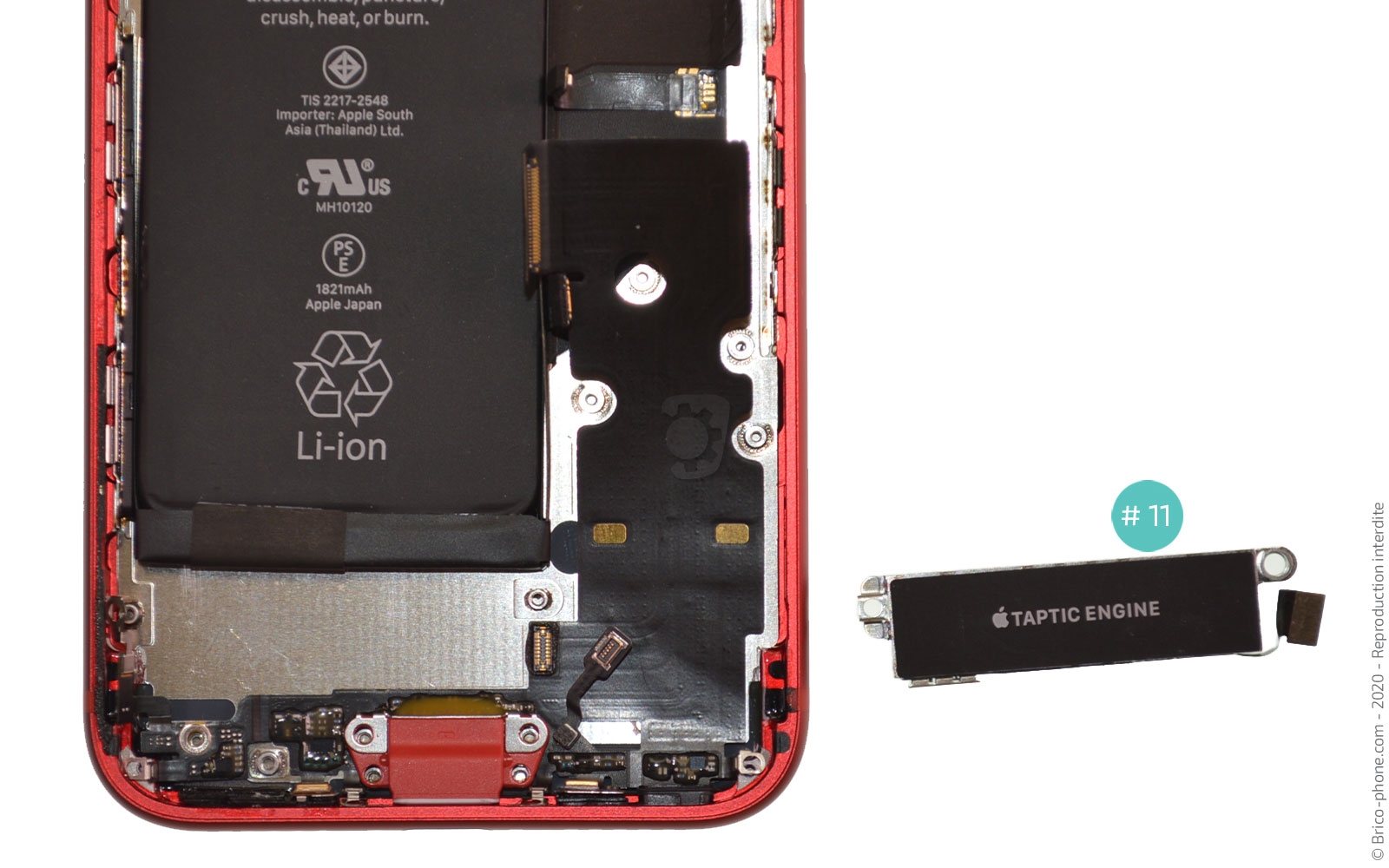 Remplacer le connecteur de charge  sur iPhone SE 2020 photo 4