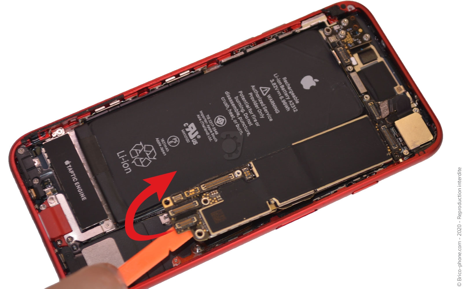 Remplacer le connecteur de charge  sur iPhone SE 2020 photo 2