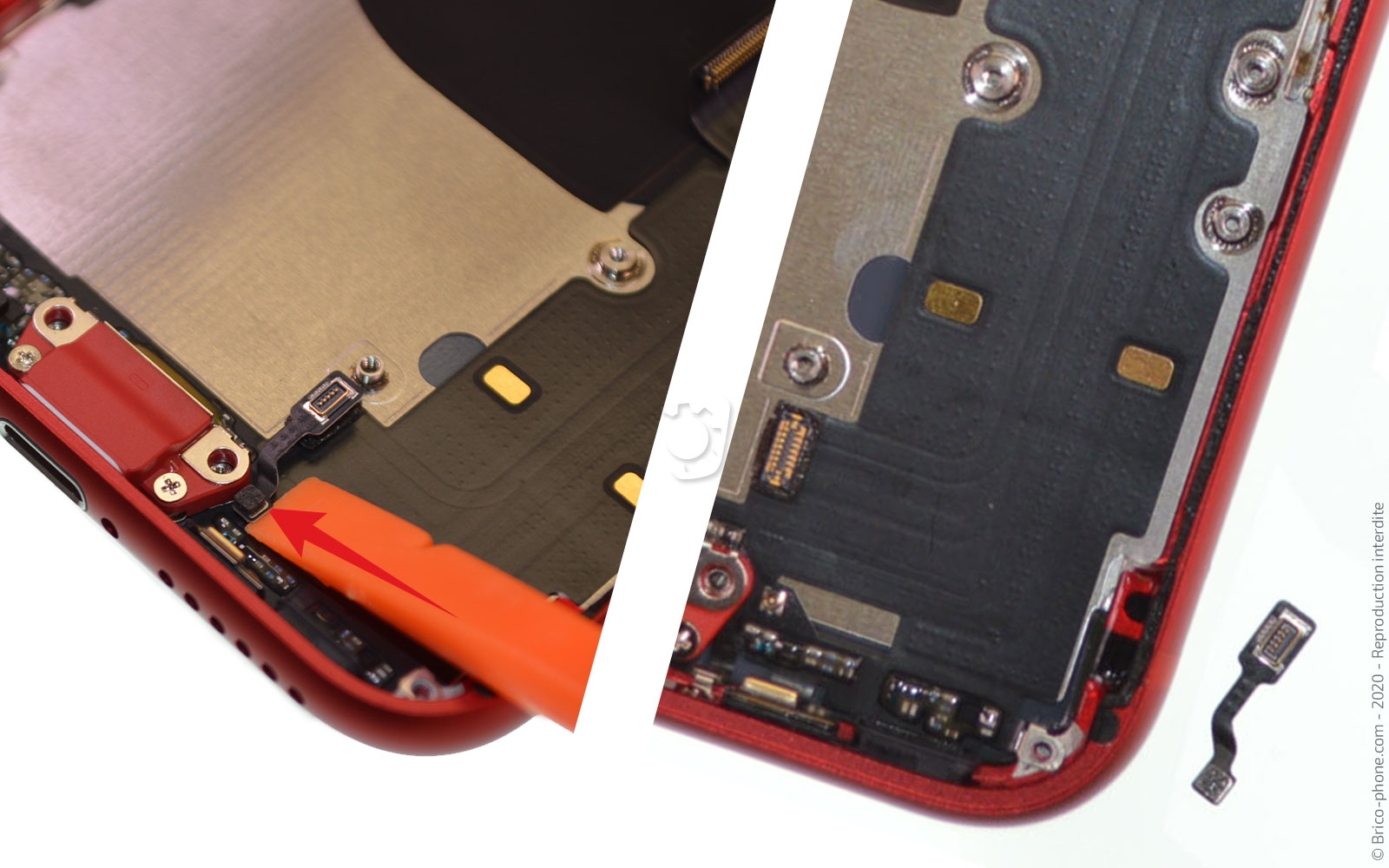 Remplacer le connecteur de charge  sur iPhone SE 2020 photo 1
