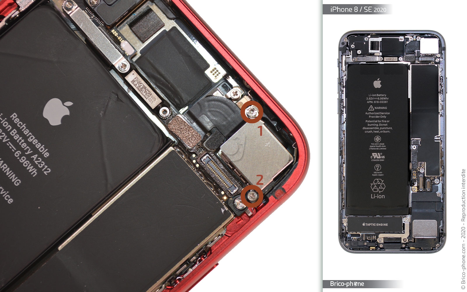 Changement de la caméra arrière sur iPhone SE 2020 photo 1