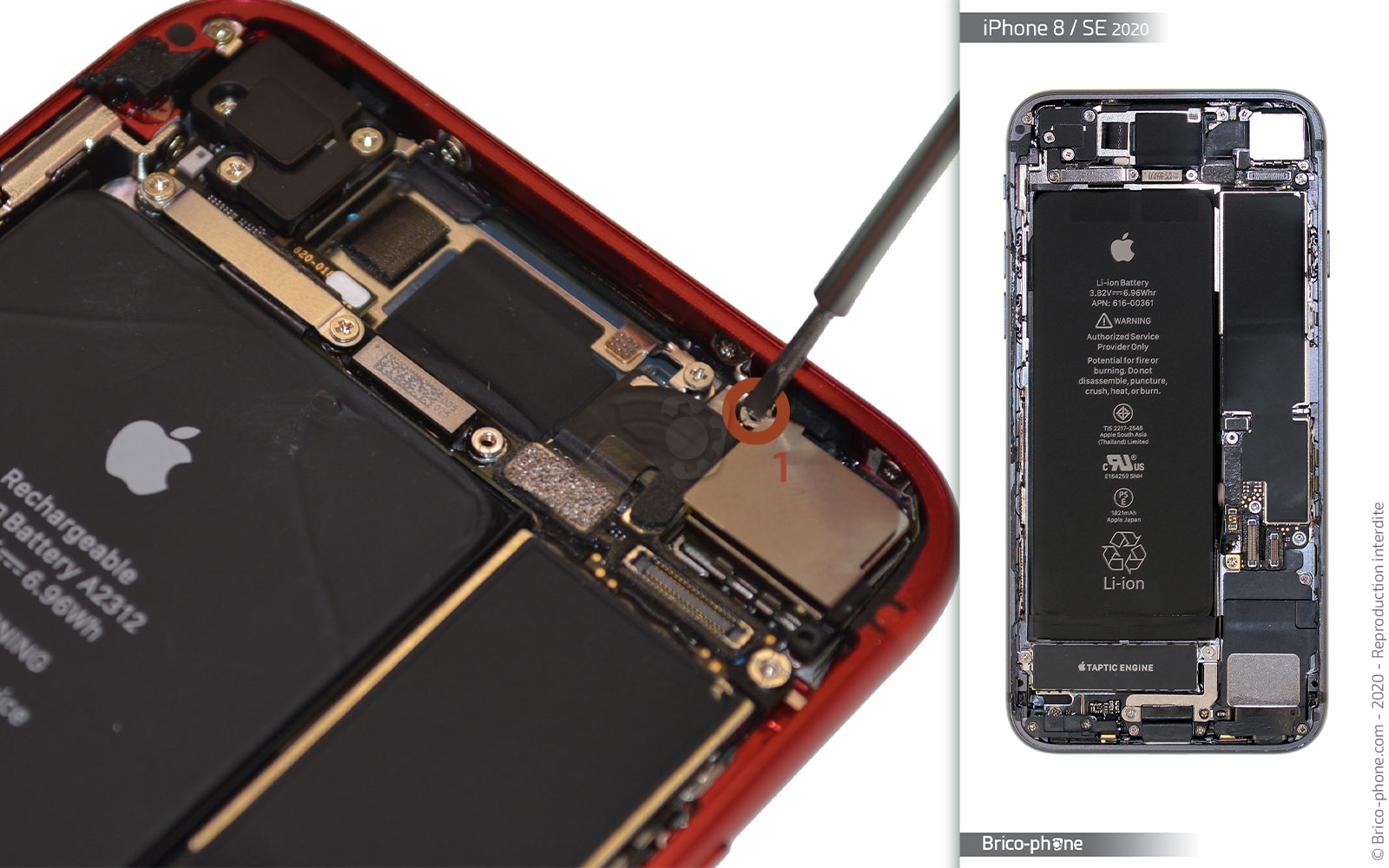 Changement de la caméra arrière sur iPhone SE 2020 photo 2