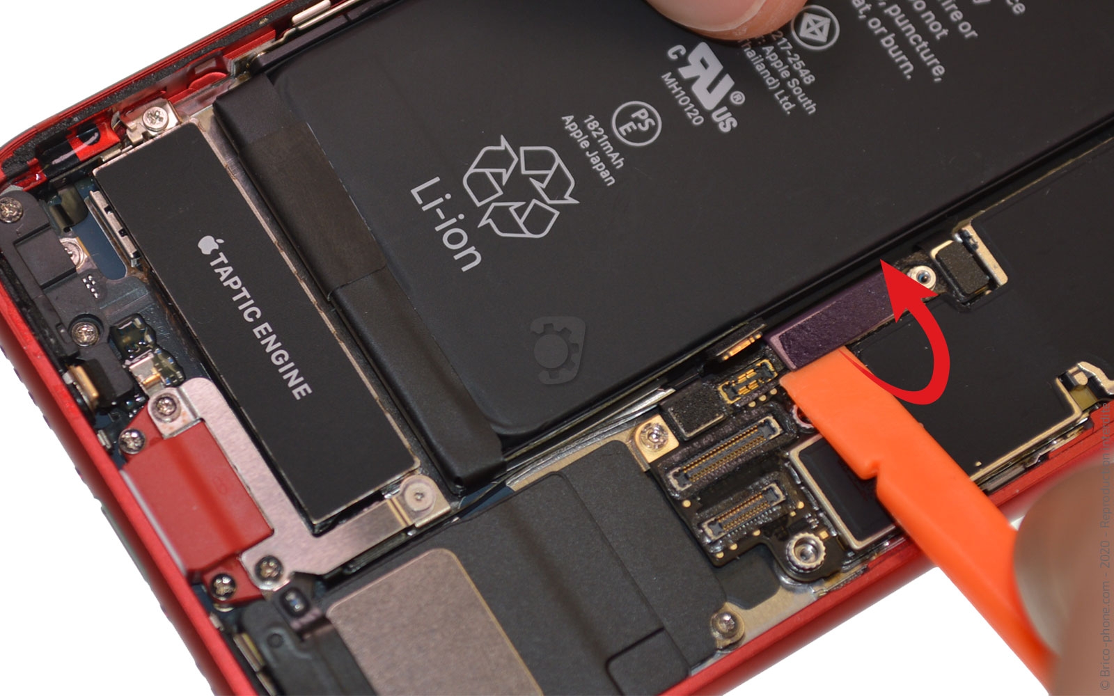 Changement du haut-parleur externe sur iPhone SE 2020 photo 1