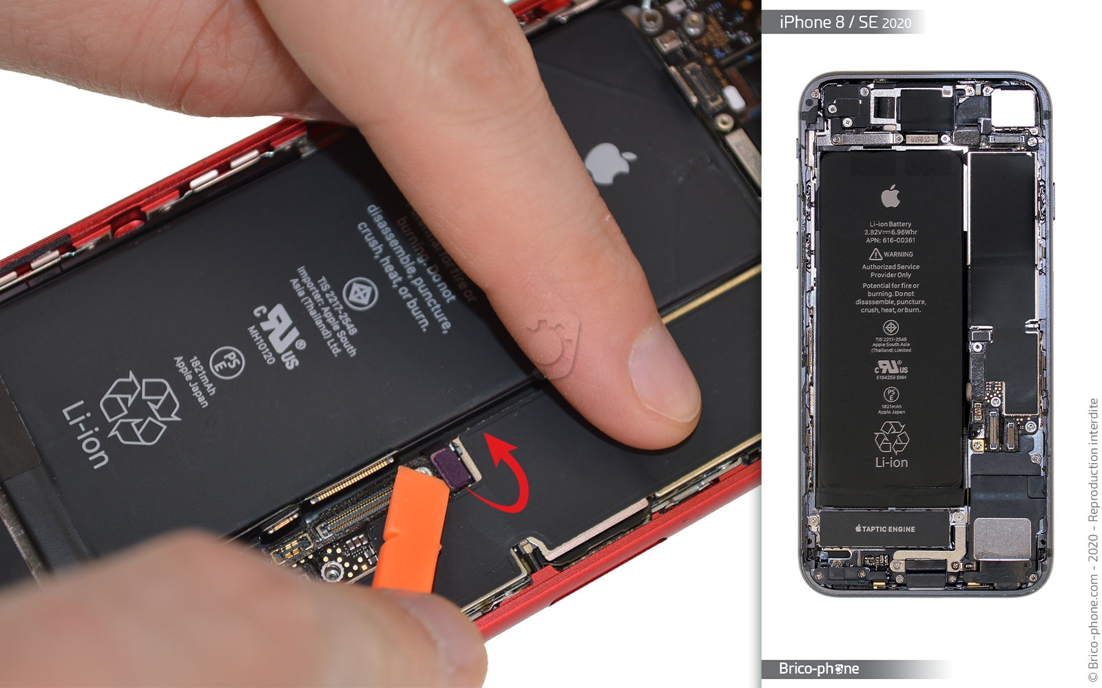 Changement du haut-parleur externe sur iPhone SE 2020 photo 4