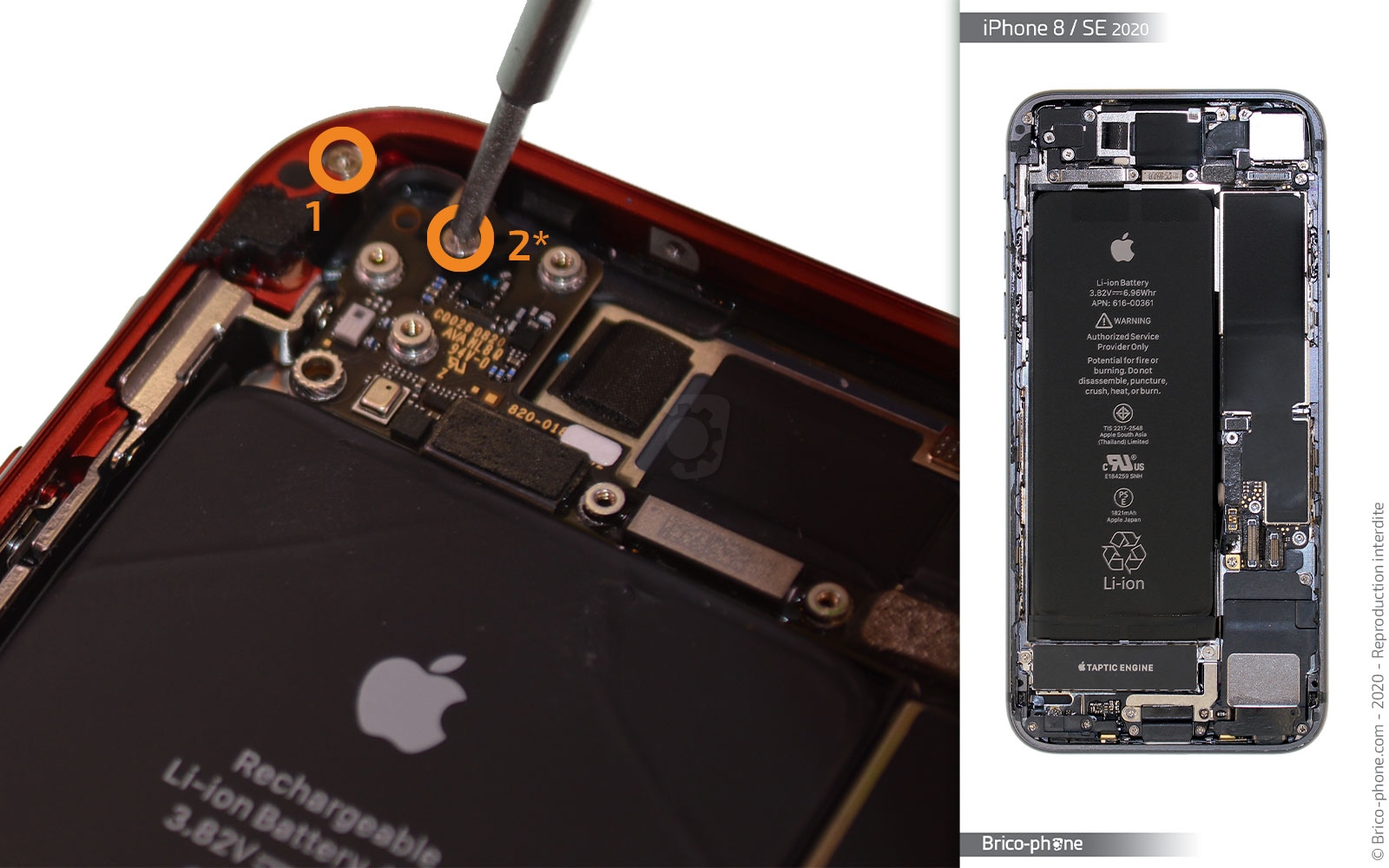 Changement du haut-parleur externe sur iPhone SE 2020 photo 3