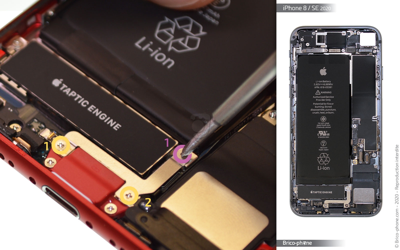 Changement du haut-parleur externe sur iPhone SE 2020 photo 1