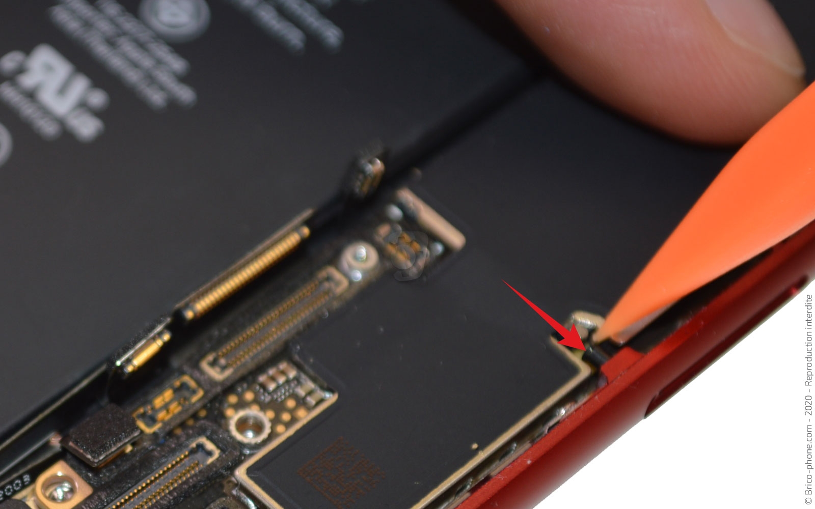 Changement du haut-parleur externe sur iPhone SE 2020 photo 1