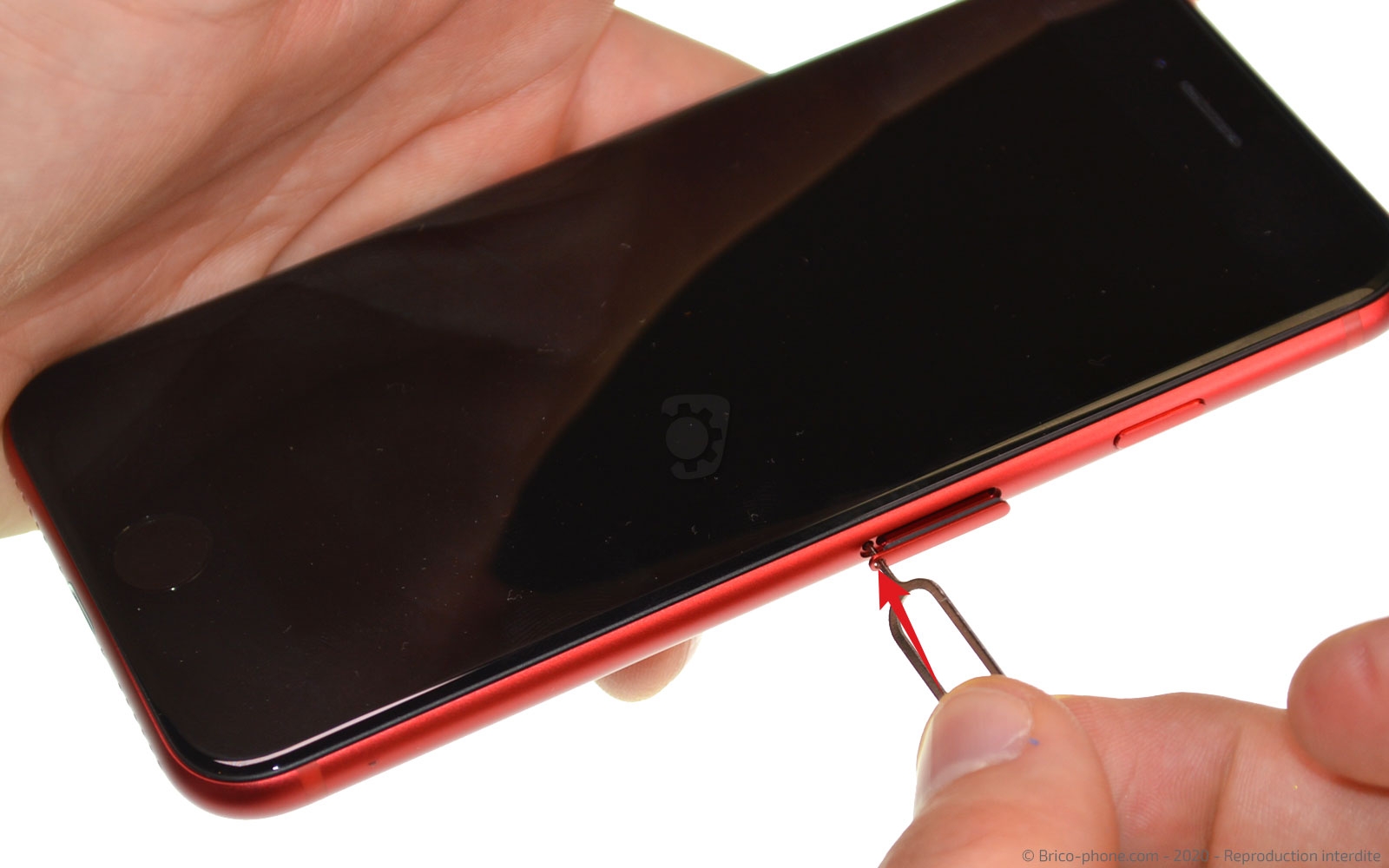 Changement du haut-parleur externe sur iPhone SE 2020 photo 1