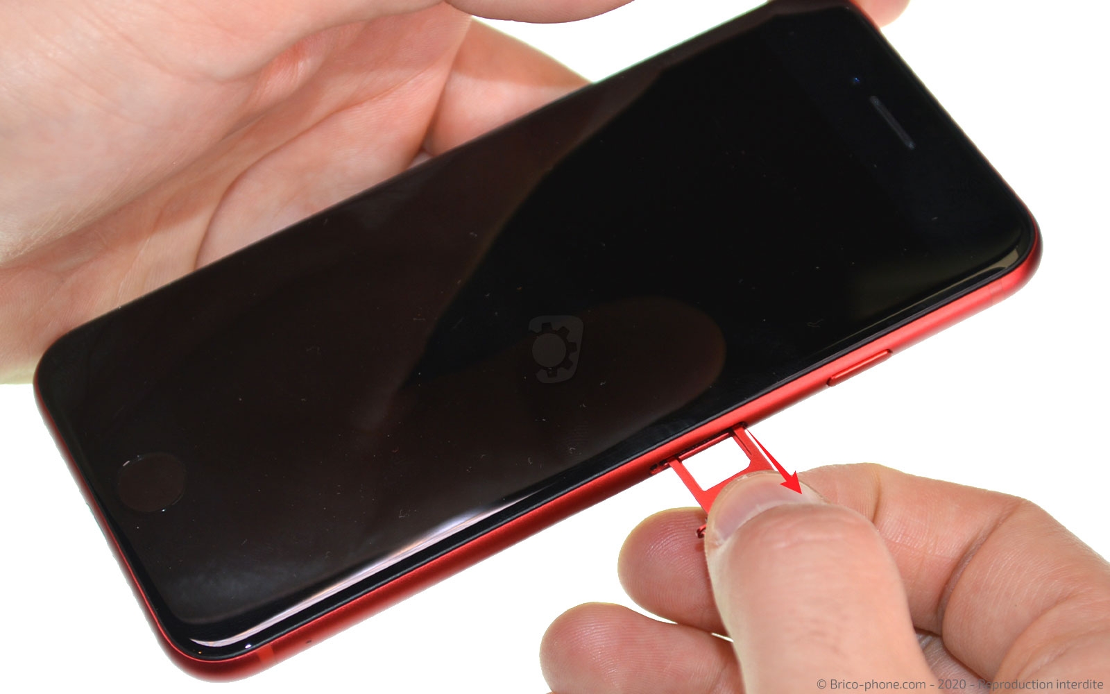 Changement du haut-parleur externe sur iPhone SE 2020 photo 2