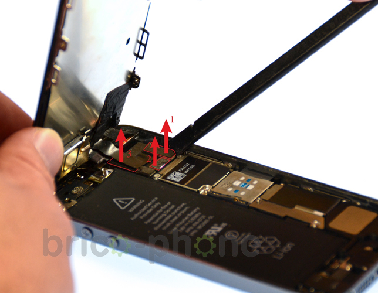 Changement du haut-parleur interne sur iPhone 5S photo 1