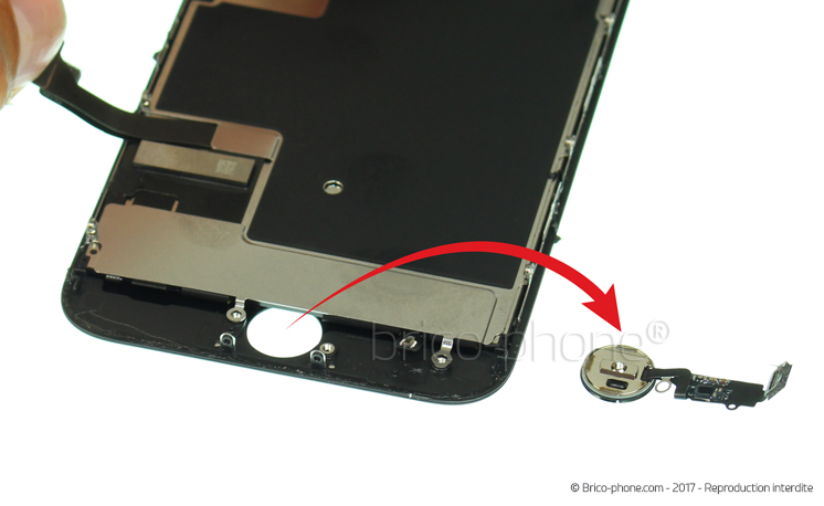 Changement de nappe bouton Home sur iPhone 8 photo 2