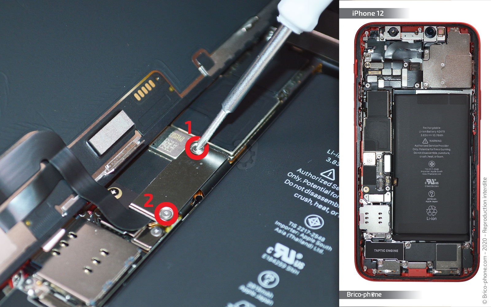 Changement de batterie sur iPhone 12 photo 1