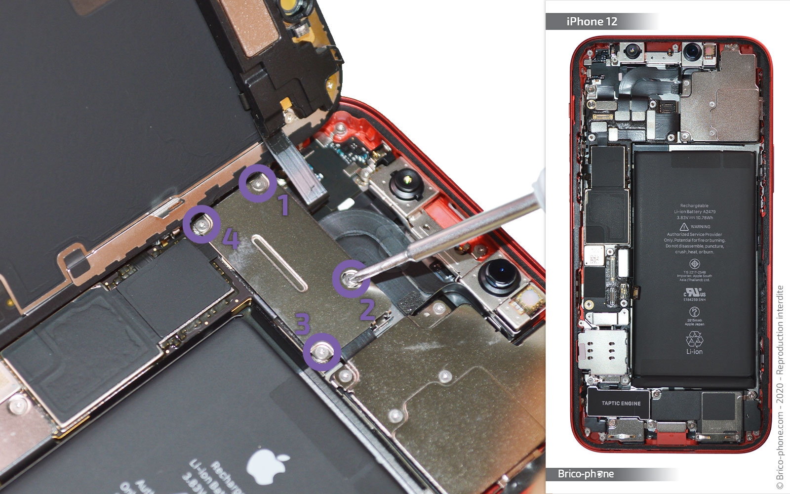 Changement de batterie sur iPhone 12 photo 1