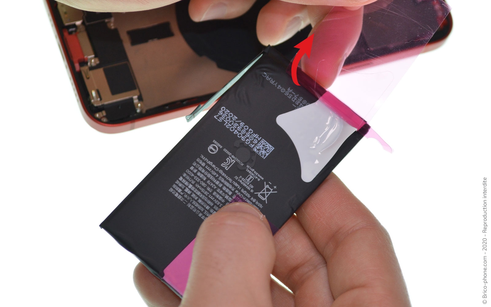 Changement de batterie sur iPhone 12 photo 4