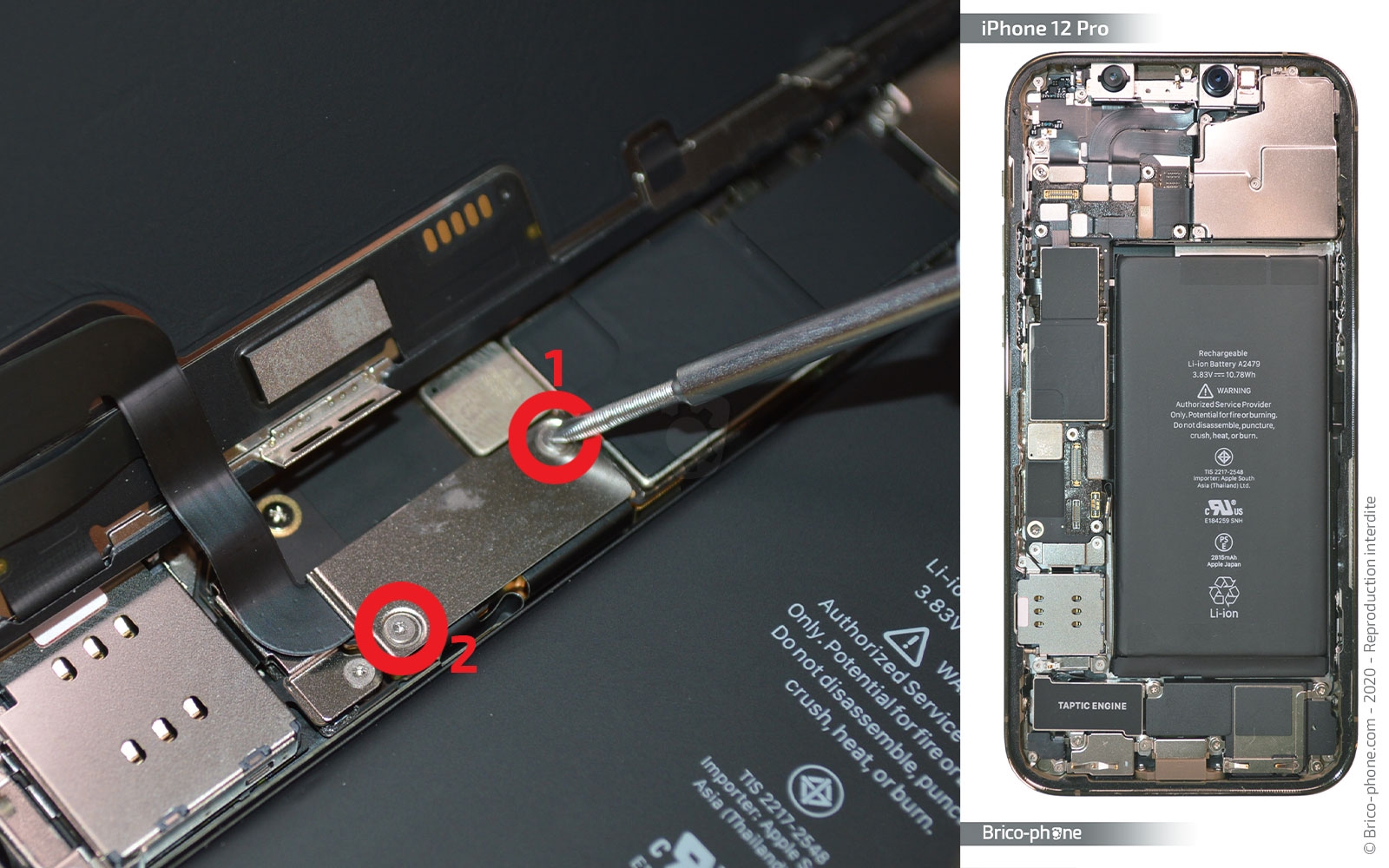 Changement de l'écran (vitre + Oled) sur iPhone 12 Pro photo 2